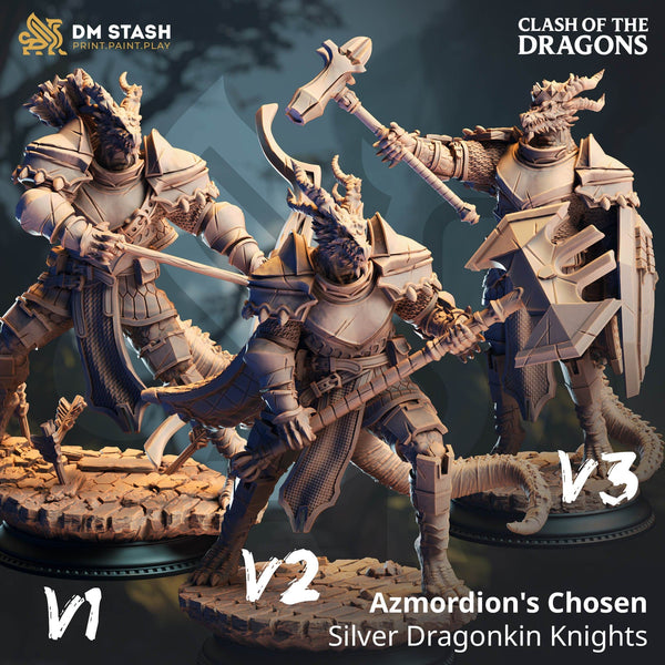 Humanoid Knights Azmordion's Chosen Drache Tabletop-Miniatur | Qumi