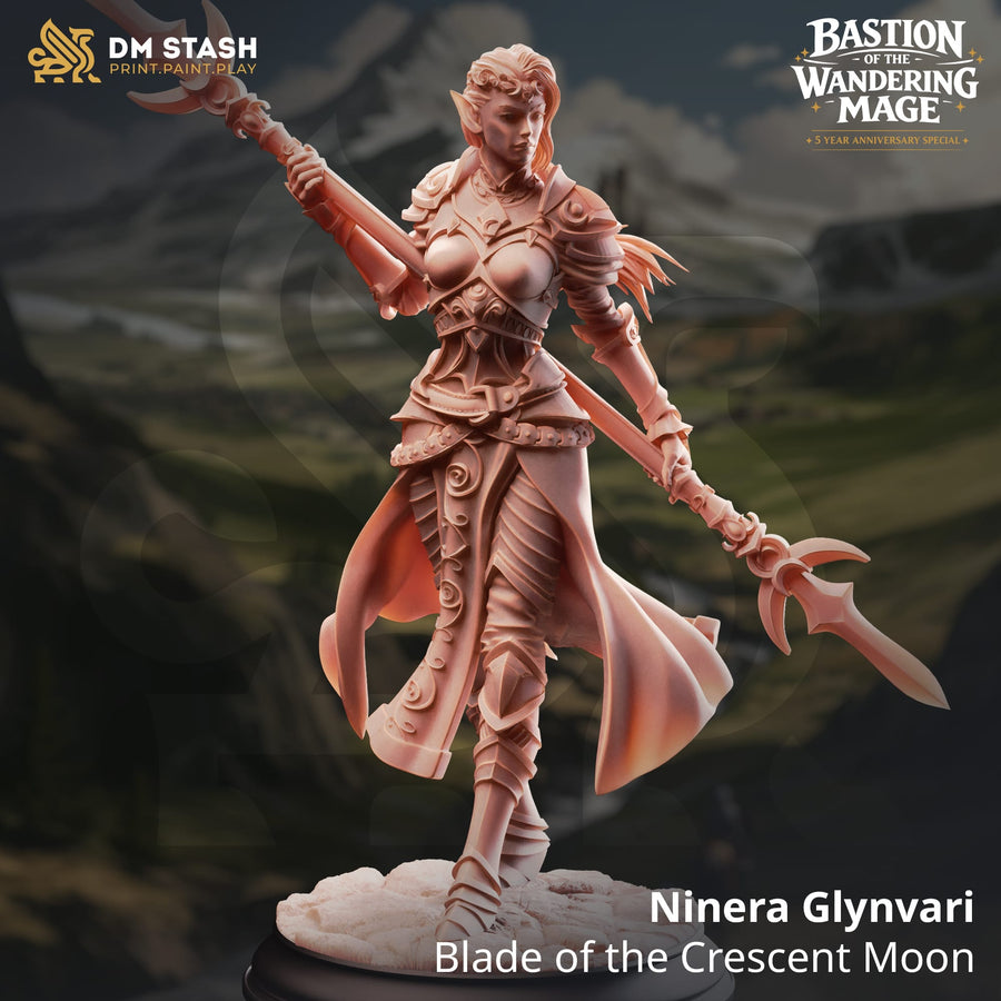 Front view of a 3D-printed Ninera Glynvari resin miniature holding a spear, featuring detailed armor and fantasy elven-style facial features.