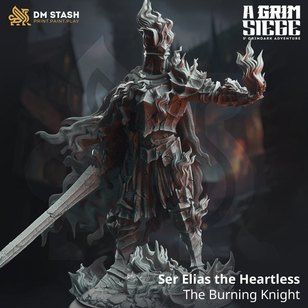 Tabletop Ritter Miniatur Ser Elias 32mm 75mm DM Stash