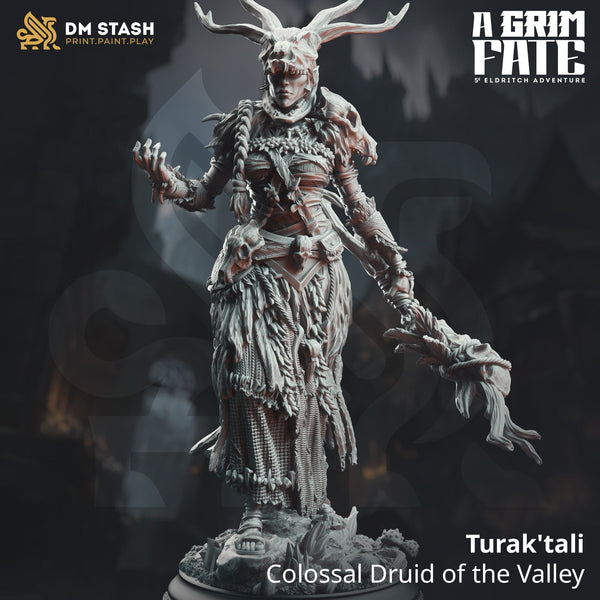 Tabletop Exotischer Druiden Miniatur Turak Tali DM Stash