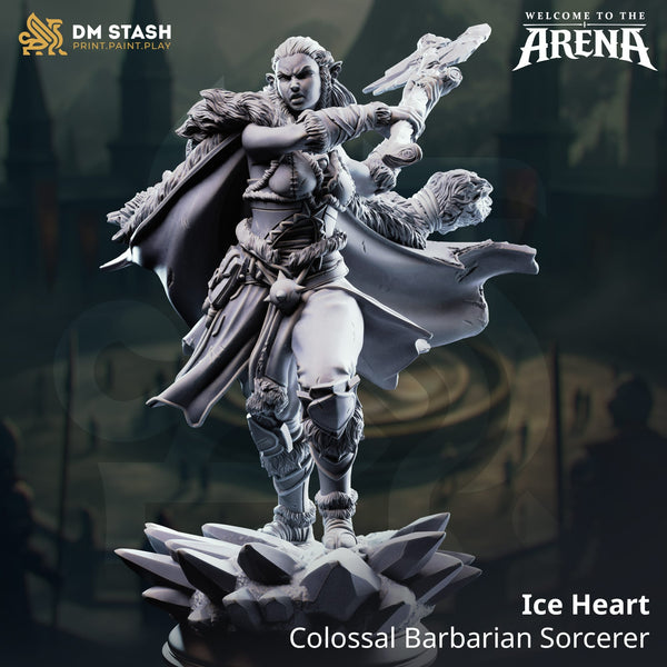 Tabletop-Zauberer Barbar Eisherz 32mm 75mm DM Stash