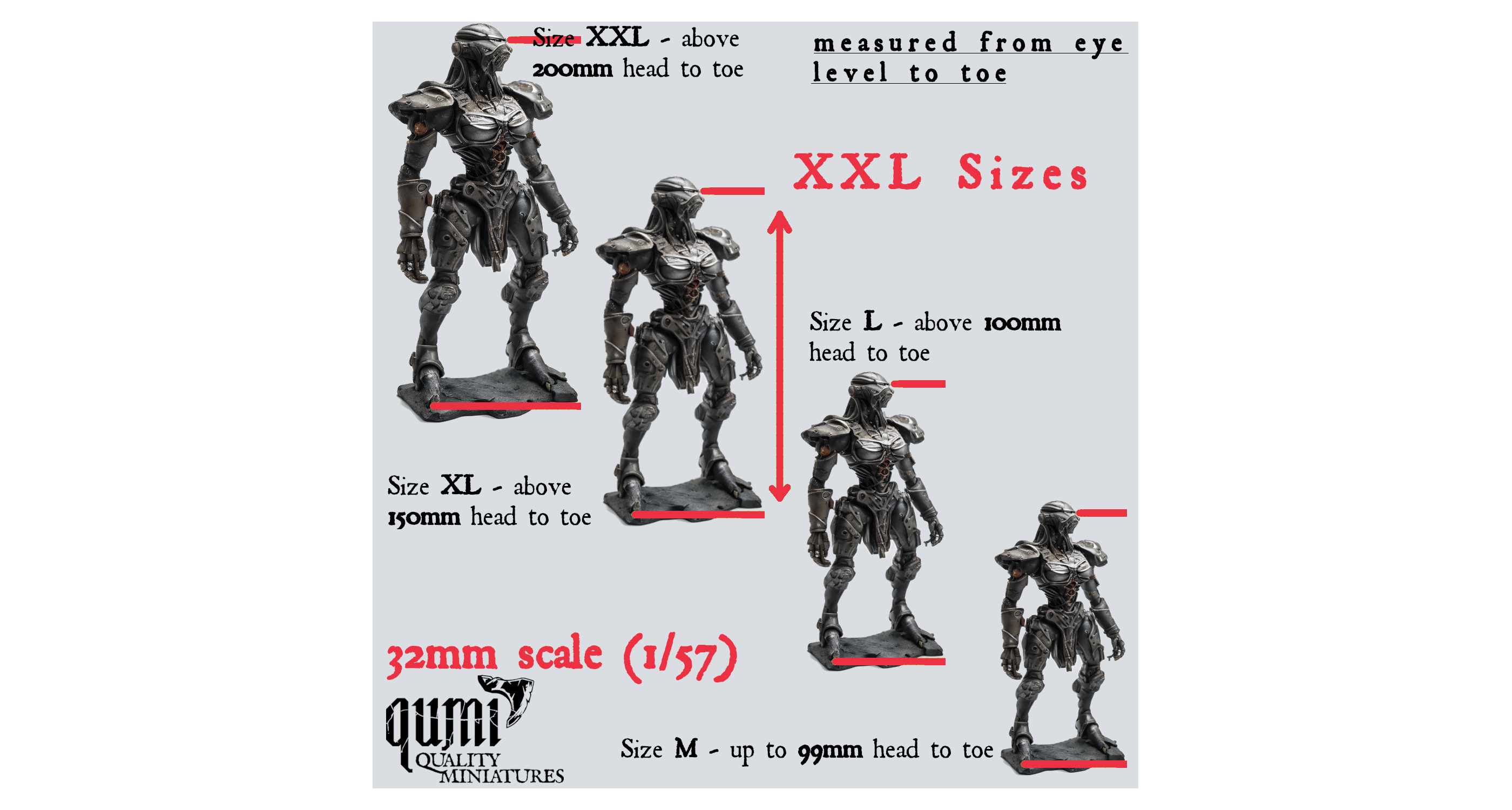 XXL Sizes scale