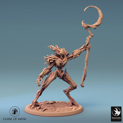 Branchblades - 32mm Tabletop RPG Mini - Qumi - Rescale Miniatures Quality Miniatures - Qumi