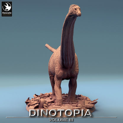 Diplodocus - Dinotopia - 32mm Tabletop RPG Mini - Qumi - Rescale Miniatures Quality Miniatures - Qumi