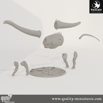 Diplodocus - Dinotopia - 32mm Tabletop RPG Mini - Qumi - Rescale Miniatures Quality Miniatures - Qumi