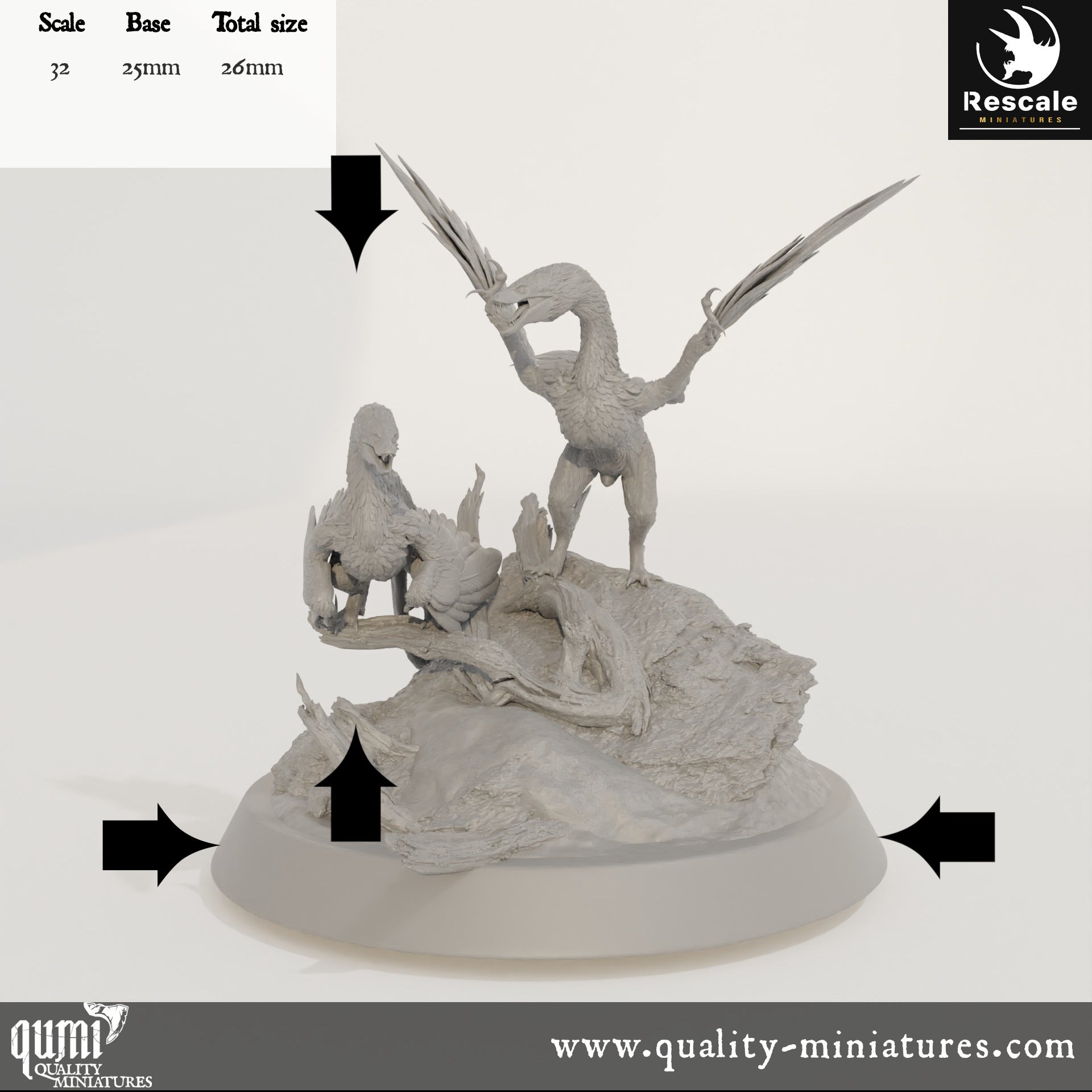 Microraptor Rock - Dinotopia - 32mm Tabletop RPG Mini - Qumi - Rescale Miniatures Quality Miniatures - Qumi