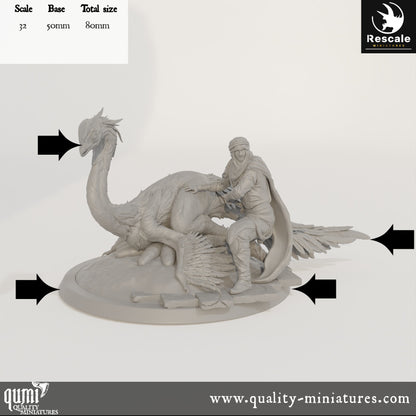 Oviraptor - Dinotopia - 32mm Tabletop RPG Mini - Qumi - Rescale Miniatures Quality Miniatures - Qumi