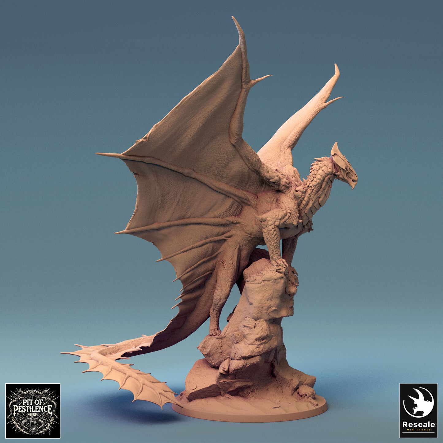 Brass Dragon - 32mm Tabletop RPG Mini - Qumi - Rescale Miniatures