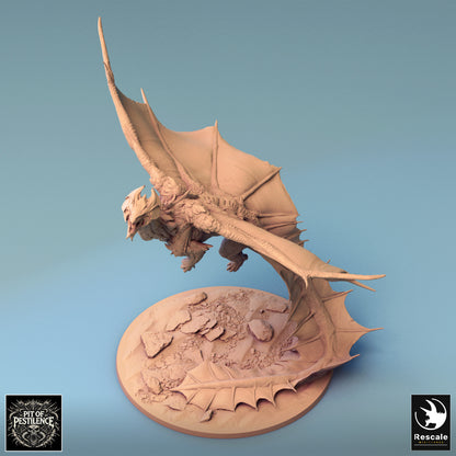 Brass Dragon - 32mm Tabletop RPG Mini - Qumi - Rescale Miniatures