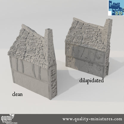 Row House - Lost City - Resin Print - Tabletop RPG Terrain - GameScape3D - Qumi Quality Miniatures - Qumi