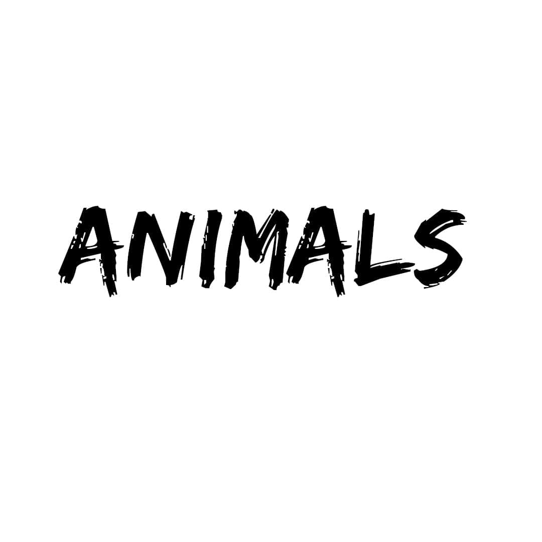animal info
