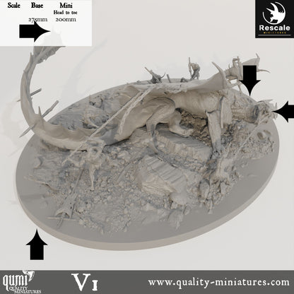 Brass Dragon - 32mm Tabletop RPG Mini - Qumi - Rescale Miniatures