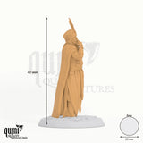 Look Lord Male tabletop miniature - 40 mm tall, 25 mm base, 1+1 part assembly - Rescale Miniatures 3D print by Qumi