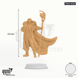 Frederik Vahlen tabletop miniature (75mm Scale) - 120 mm tall, 60 mm base, 1+1 part assembly - DM Stash 3D print by Qumi
