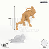 Renmaeth's Mockery tabletop miniature (75mm Scale) - 95 mm tall, 60 mm base, 1+1 part assembly - DM Stash 3D print by Qumi