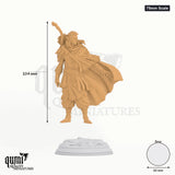 Sun Elf Sactarin tabletop miniature (75mm Scale) - 104 mm tall, 60 mm base, 1+1 part assembly - DM Stash 3D print by Qumi