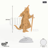 The Captain Tabletop-Miniatur (75mm) - 108 mm hoch, 60 mm Base, 1 Körperteil + 1 Base - DM Stash 3D-Druck von Qumi