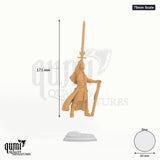 Vicar tabletop miniature (75mm Scale) - 171 mm tall, 60 mm base, 1+1 part assembly - DM Stash 3D print by Qumi