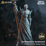 Quorenderi's Awakened – Priest of the Deep One: deep one priest tabletop miniature, designer preview from DM Stash's 'Shadow over Westlook' release, 3D-printed in resin by Qumi