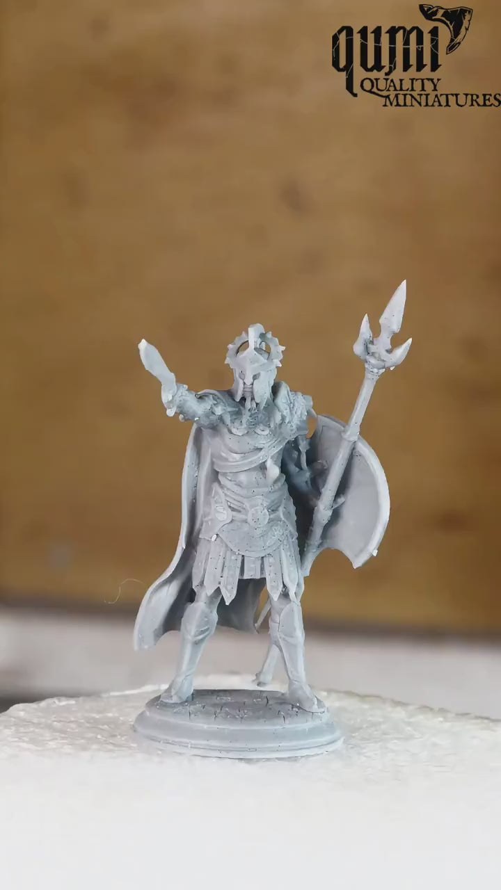 Elf Tabletop Miniature – Sun Elf Gladiator Vilryn Kaedrys | Qumi — Vilryn Kaedrys - Sun Elf Gladiator 32mm DM Stash video