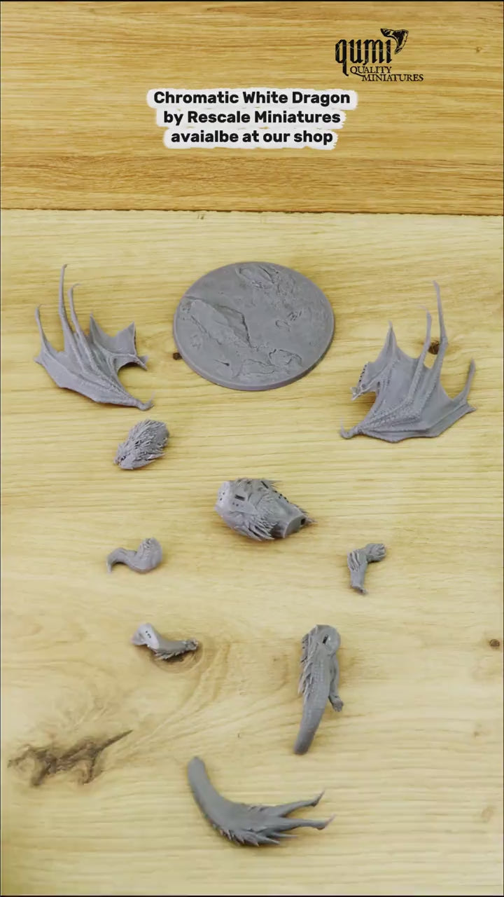 Dragon Chromatic White Dragon Tabletop Miniature | Qumi — Chromatic White Dragon Assembly video