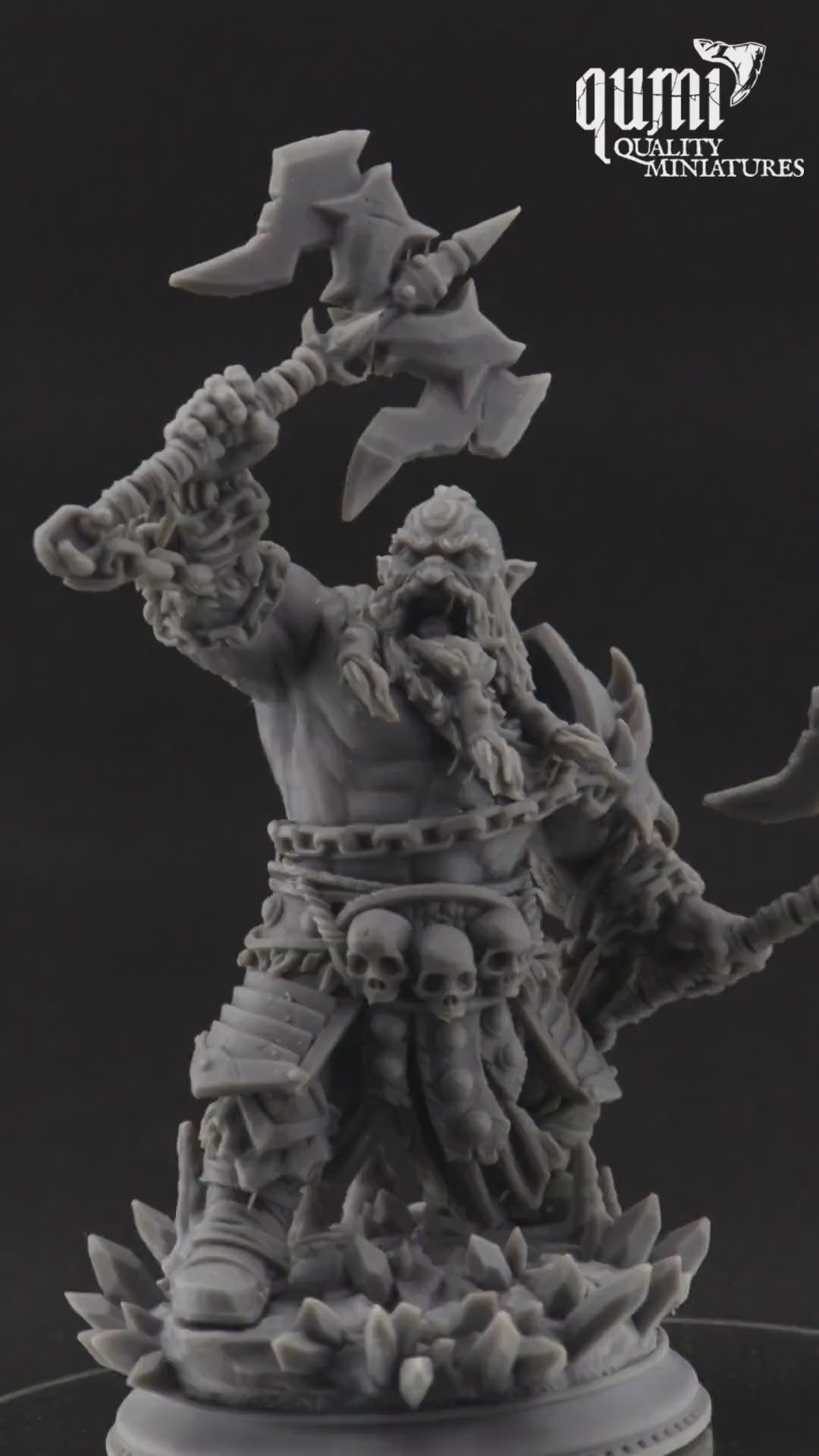 Dwarf Miniature on turntable with black background