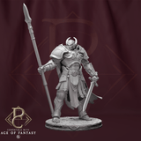 3D-printed Storm Soldier knight miniature holding a spear and sword on a circular base