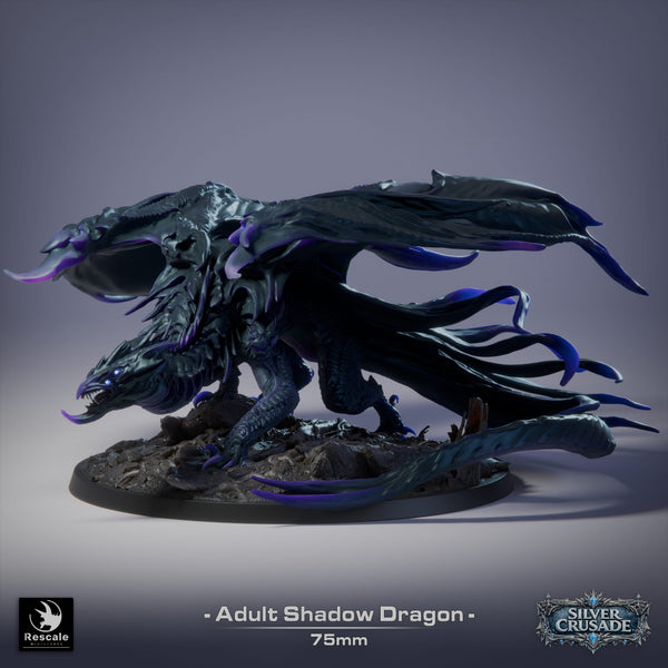 Adult Shadow Drache Tabletop-Miniatur | Qumi