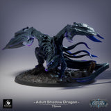Vorderansicht eines erwachsenen Schatten-Drachen mit leuchtend violetten Augen auf einem texturierten Rundbase.