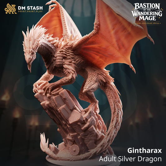 Silver Dragon miniature from Gintharax set by Qumi, detailed tabletop miniature for wargaming and RPG adventures.