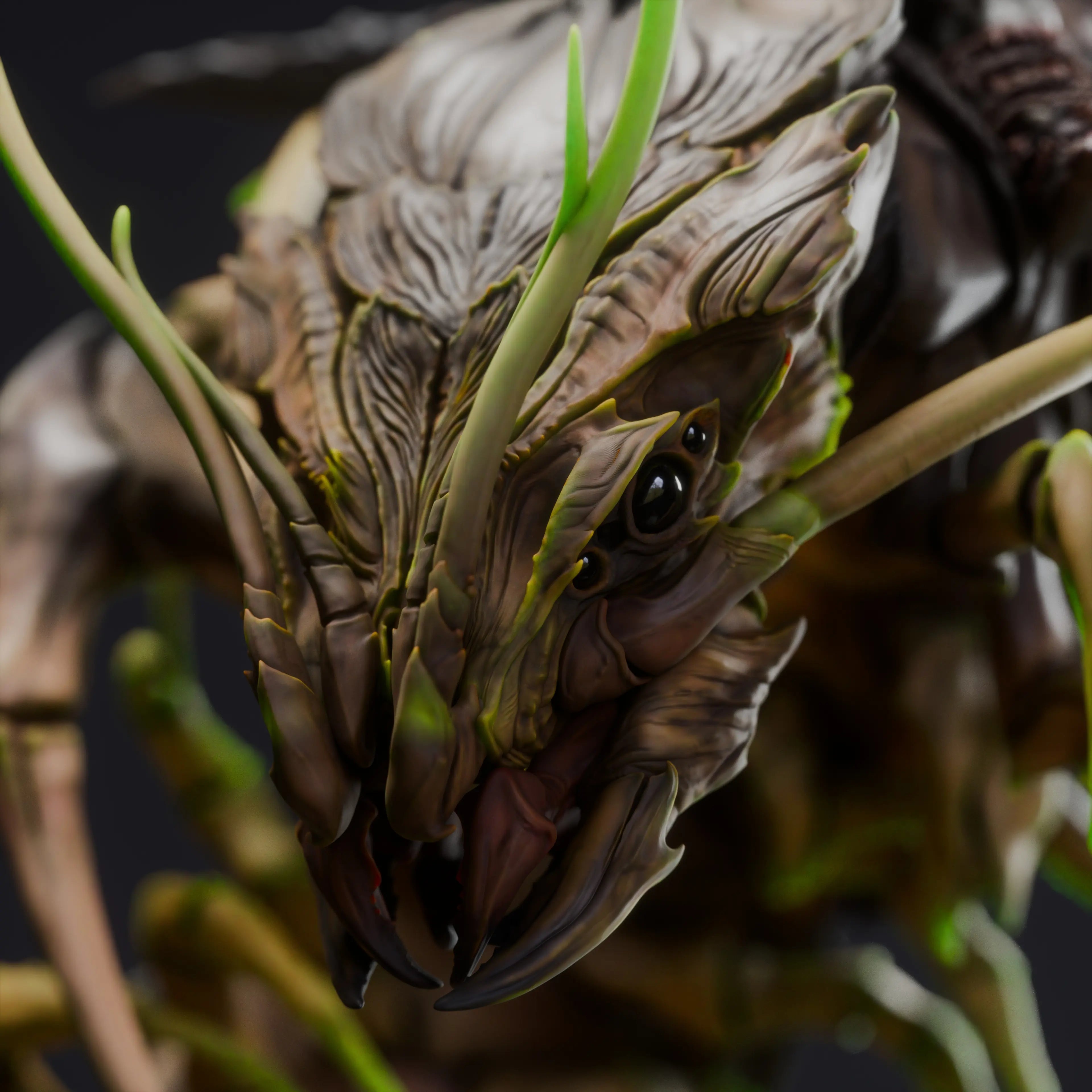 Rescaled fantasy war centipede miniature by Qumi, detailed tabletop figure for RPG and wargaming, from Quality Miniatures.
