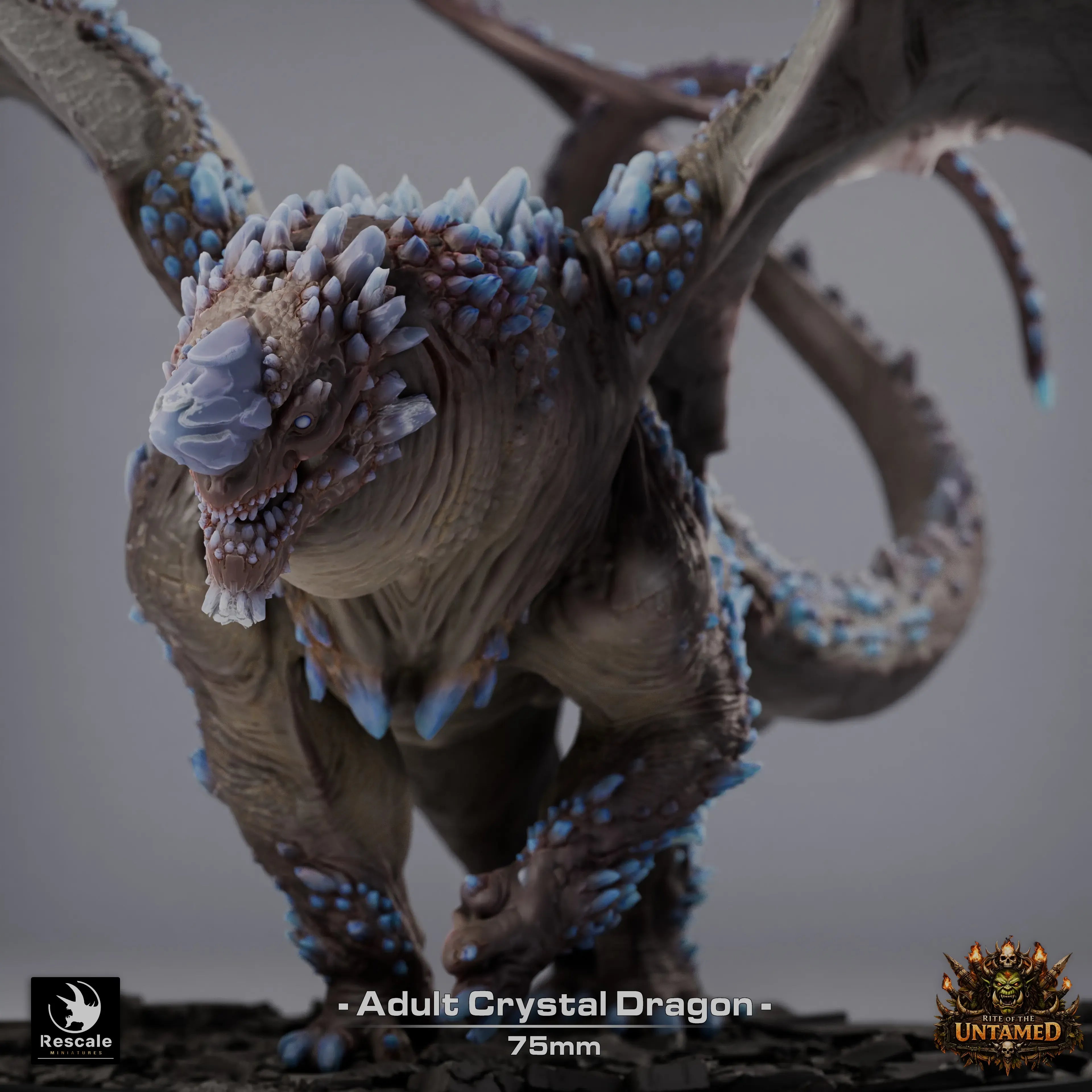 Fantasy Dragon Miniature Crystal Adult Dragon Qumi Rescale Miniatures - Quality Miniatures - Qumi