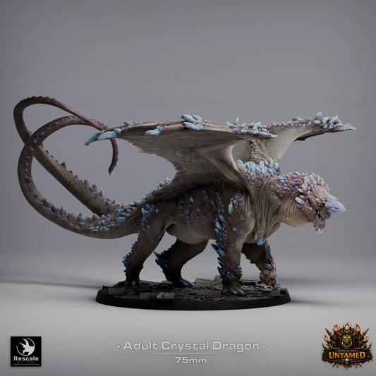 Fantasy Dragon Miniature Crystal Adult Dragon Qumi Rescale Miniatures - Quality Miniatures - Qumi
