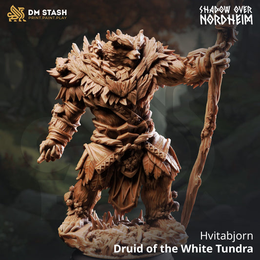 Fantasy Druid Miniature Hvitabjörn 32mm 75mm DM Stash Qumi - Quality Miniatures - Qumi