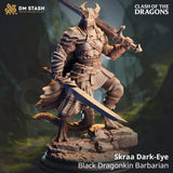 Full view of Skraa Dark-Eye Dragonkin Barbarian miniature with dual swords on rocky base