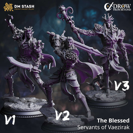 Fantasy Monster Blessed Servants of Vaezirak 32mm 75mm DM Stash
