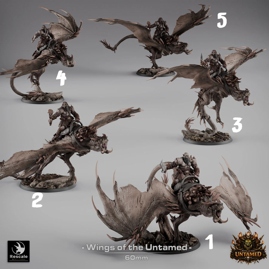 Five different perspective angles of the 3D-printed wyvern rider miniature labeled one through five