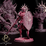 High Sister Valcera sword fighter miniature with shield in center, with larger variants in background.
