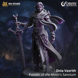 Ilnia Vasrith Paladin miniature in gray resin, holding a large sword with moon motifs in a standing pose.