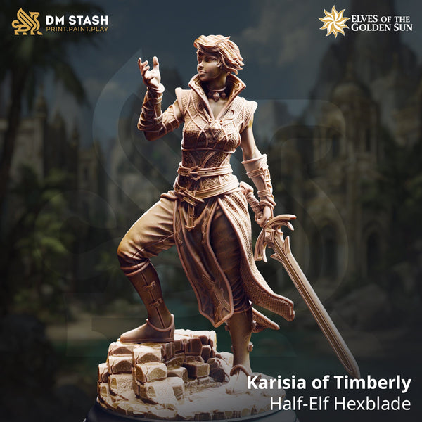 Tabletop Halbelf Hexblade Karisia DM Stash