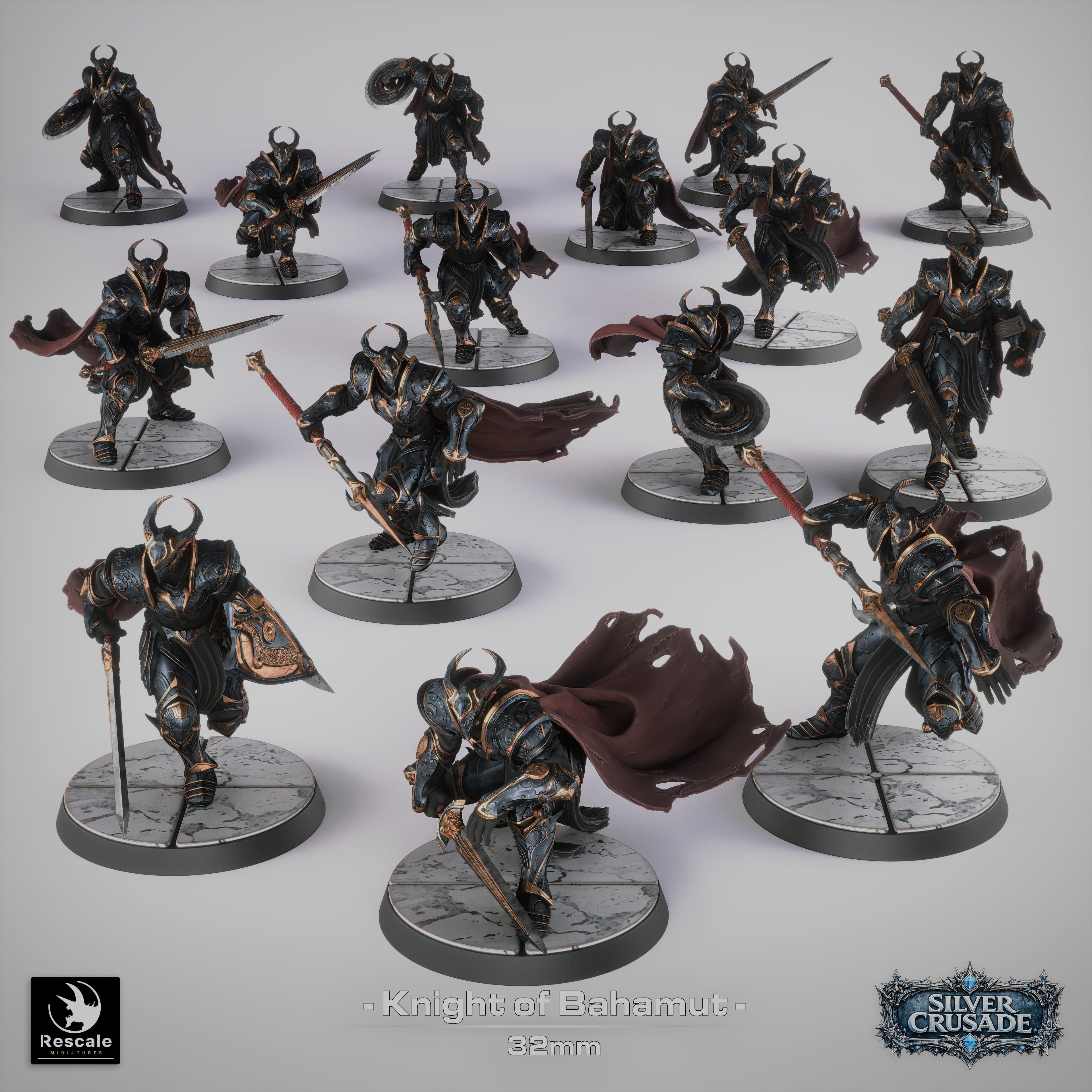 Tabletop Miniature Knight Of Bahamut Rescale Miniatures - Quality Miniatures - Qumi