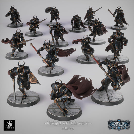 Tabletop Miniature Knight Of Bahamut Rescale Miniatures - Quality Miniatures - Qumi