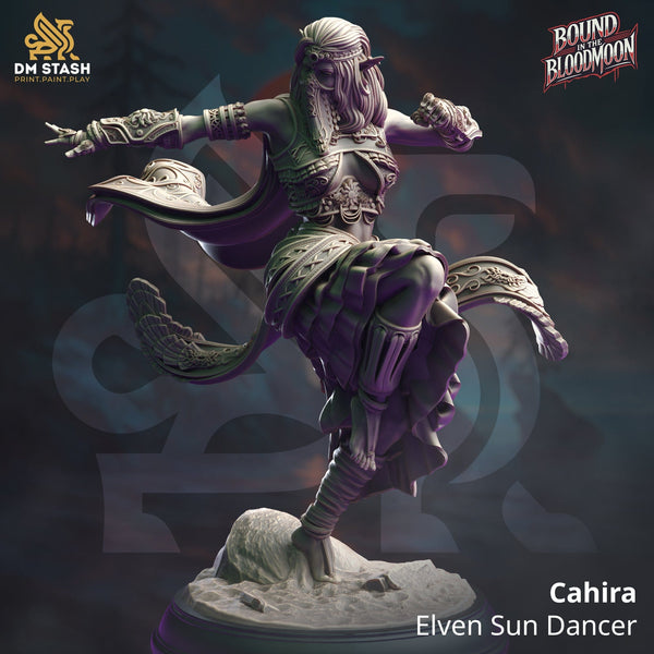 Tabletop Elfenkämpfer Miniatur Cahira 32mm 75mm DM Stash