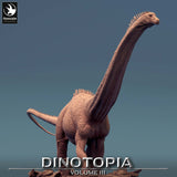 Low angle view of the Diplodocus looking upwards, highlighting the textured skin and neck length.
