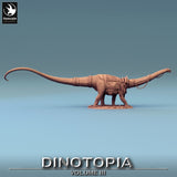 Side profile of a saddled Diplodocus miniature standing on a textured base.