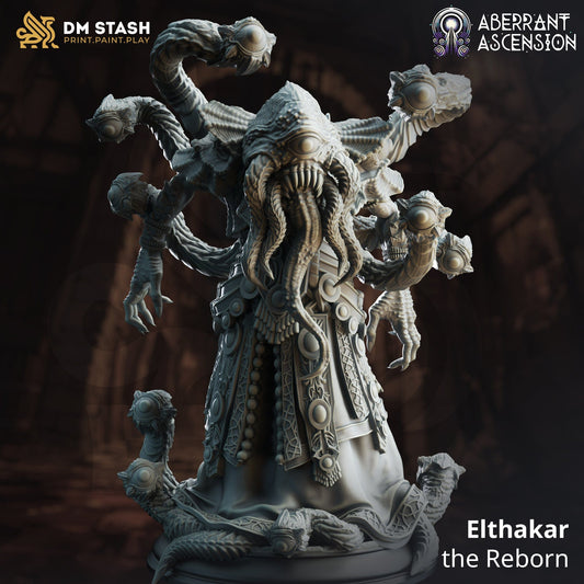Tabletop RPG Miniature Elthakar the Reborn - 32mm Qumi - DM Stash Quality Miniatures - Qumi Wargaming Mini Model Figure