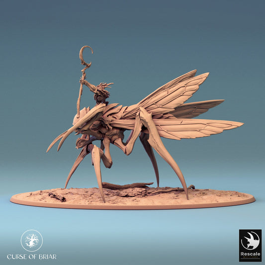 Tabletop RPG Miniature Fyrionis - 32mm Qumi - Rescale Miniatures Quality Miniatures - Qumi Wargaming Mini Model Figure