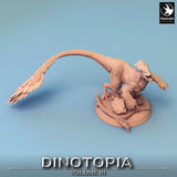 Top-down view of the Pyroraptor sculpture, displaying the long tail and wings.