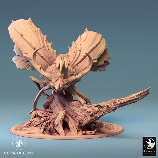 Tabletop RPG Miniature Royal Fae - 32mm Qumi - Rescale Miniatures Quality Miniatures - Qumi Wargaming Mini Model Figure