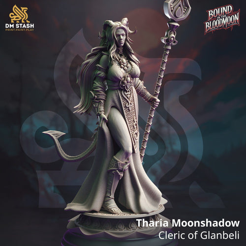 Tabletop Weibliche Klerikerin Tharia 32mm 75mm Qumi DM Stash